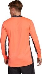 Джемпер для вратаря Adidas AdiPro 20 GK M FI4191, оранжевый цена и информация | Футбольная форма и другие товары | kaup24.ee