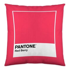 Наволочка Pantone цена и информация | Декоративные подушки и наволочки | kaup24.ee