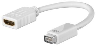 Мини DVI-HDMI, 0,1 м цена и информация | Адаптеры и USB-hub | kaup24.ee