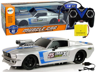 Lean toys R/C спортивная машина 1:16 Silver Blue Stripes Pilot цена и информация | Игрушки для мальчиков | kaup24.ee