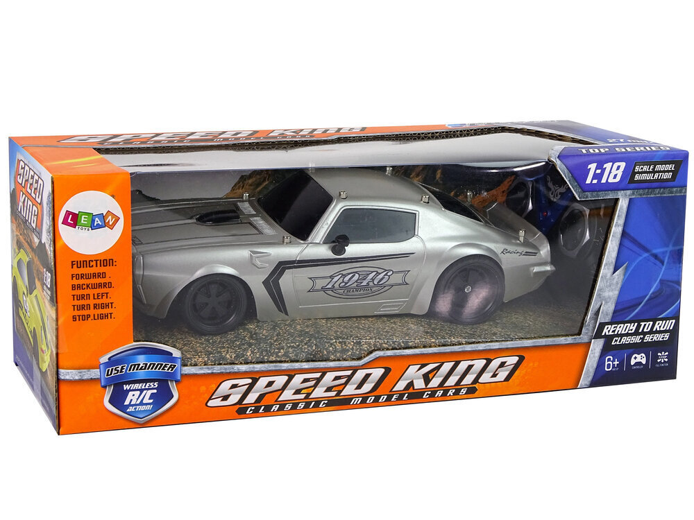 Lean toys R/C sportauto 1:18 hõbedane hind ja info | Poiste mänguasjad | kaup24.ee