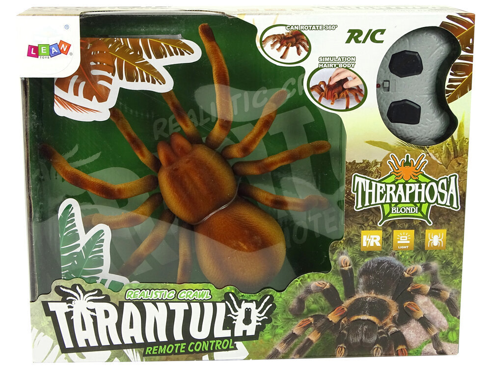 Lean toys Kaugjuhtimispuldiga Spider Tarantula Infrared Brown R/C hind ja info | Arendavad mänguasjad | kaup24.ee