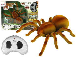 Lean toys Kaugjuhtimispuldiga Spider Tarantula Infrared Brown R/C цена и информация | Развивающие игрушки | kaup24.ee