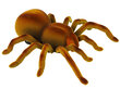 Lean toys Kaugjuhtimispuldiga Spider Tarantula Infrared Brown R/C hind ja info | Arendavad mänguasjad | kaup24.ee