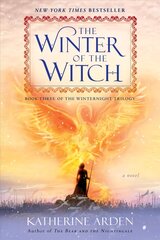 Winter of the Witch: A Novel цена и информация | Фантастика, фэнтези | kaup24.ee