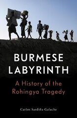 Burmese Labyrinth цена и информация | Исторические книги | kaup24.ee