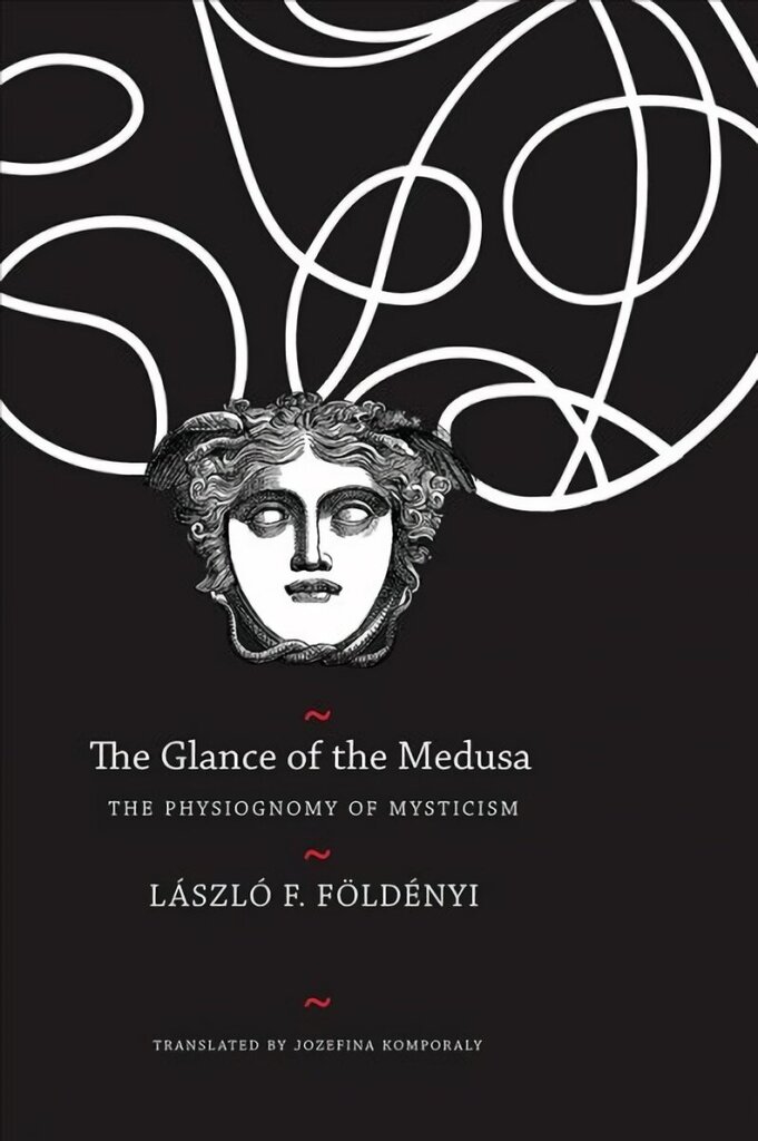 Glance of the Medusa: The Physiognomy of Mysticism цена и информация | Ajalooraamatud | kaup24.ee