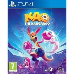 Kao the Kangaroo PS4|PS5 hind ja info | Arvutimängud, konsoolimängud | kaup24.ee