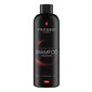 Autošampoon - FRESSO Shampoo Premium 500ml цена и информация | Autokeemia | kaup24.ee