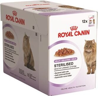Стерелизированное желе для кошек ROYAL CANIN FHN WET 85GX12 цена и информация | Кошачьи консервы | kaup24.ee