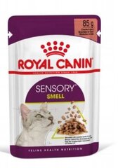 Консервы Royal Canin Sensory Smell Gravy для кошек, 12x85 г цена и информация | Кошачьи консервы | kaup24.ee