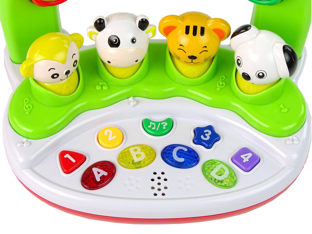 Interaktiivsed mänguloomad inglise keele õppimiseks hind ja info | Imikute mänguasjad | kaup24.ee