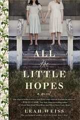 All the Little Hopes: A Novel цена и информация | Фантастика, фэнтези | kaup24.ee