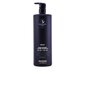 Paul Mitchell Awapuhi Wild Ginger Moisturizing Lather Shampoo 1000ml цена и информация | Šampoonid | kaup24.ee