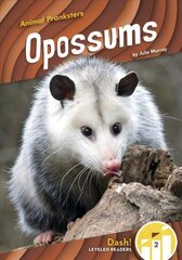 Animal Pranksters: Oppossums hind ja info | Noortekirjandus | kaup24.ee