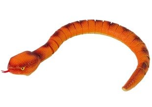 Интерактивная змея анаконда 70 см R/C, оранжевая цена и информация | Игрушки для мальчиков | kaup24.ee
