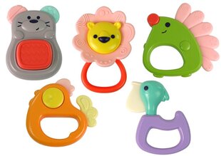 Hola Kõristi 5 värvilist osa hind ja info | Imikute mänguasjad | kaup24.ee