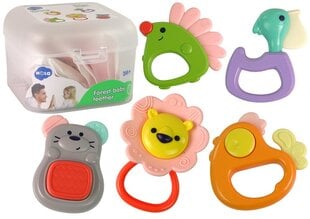 Коробка с погремушками Hola, 5 красочных деталей цена и информация | Игрушки для малышей | kaup24.ee