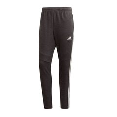 Спортивные штаны для мужские Adidas Tiro 19 French Terry M FN2341, серые цена и информация | Мужская спортивная одежда | kaup24.ee