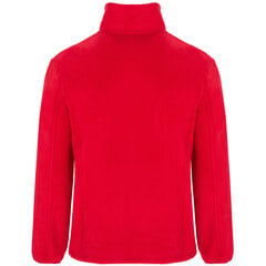 Флисовая кофта ARTIC, красная цена и информация | Мужские свитера | kaup24.ee