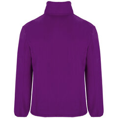 Флисовая кофта ARTIC фиолетовая цена и информация | Мужские свитера | kaup24.ee