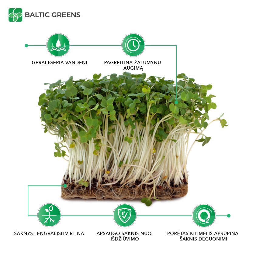 Evergreen Mat 100% linakiust matt mikroköögiviljade kasvatamiseks, 25 cm x 25 cm x 4 tk hind ja info | Muld, turvas, kompost | kaup24.ee