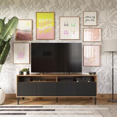 ТВ столик Daphne, коричневый/черный цена и информация | Тумбы под телевизор | kaup24.ee