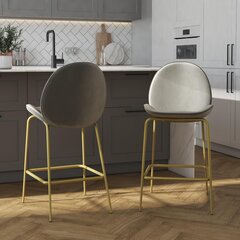 Барный стул CosmoLiving by Cosmopolitan Astor, серый цвет цена и информация | Стулья для кухни и столовой | kaup24.ee