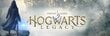 Hogwarts Legacy, PS4 hind ja info | Arvutimängud, konsoolimängud | kaup24.ee