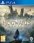 Hogwarts Legacy, PS4 цена и информация | Arvutimängud, konsoolimängud | kaup24.ee
