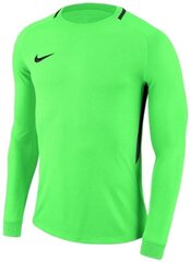Pluus Nike Dry Park III, roheline hind ja info | Jalgpalli varustus ja riided | kaup24.ee