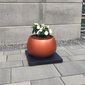 Kandiline ratastega lillepoti alus 39x39 cm, antratsiit hind ja info | Dekoratiivsed lillepotid | kaup24.ee