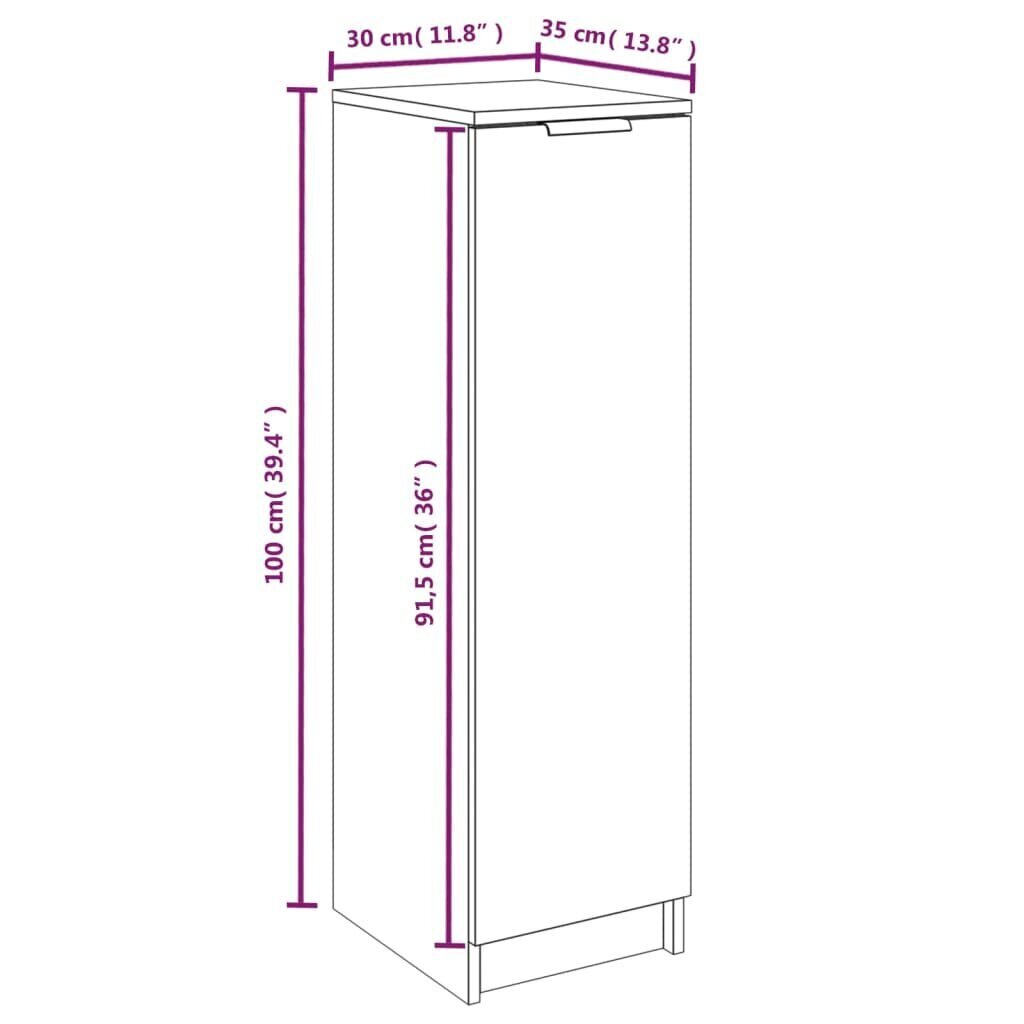 vidaXL jalatsikapp, valge, 30 x 35 x 100 cm, tehispuit цена и информация | Jalatsikapid, jalatsiriiulid | kaup24.ee