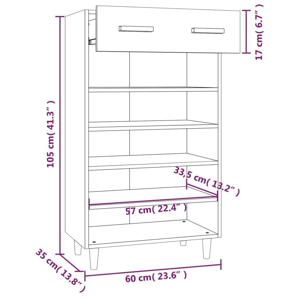 vidaXL jalatsikapp, valge, 60 x 35 x 105 cm, tehispuit hind ja info | Jalatsikapid, jalatsiriiulid | kaup24.ee