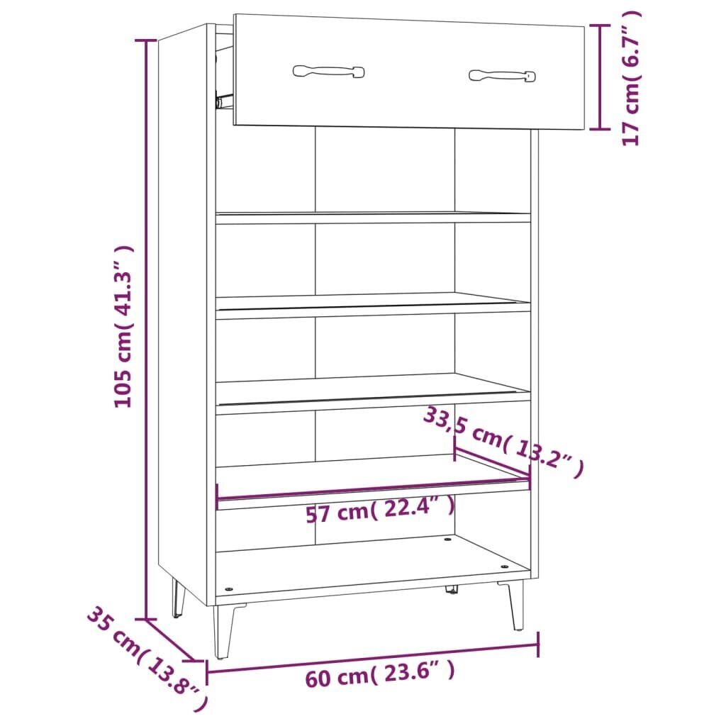 vidaXL jalatsikapp, valge, 60 x 35 x 105 cm, tehispuit hind ja info | Jalatsikapid, jalatsiriiulid | kaup24.ee