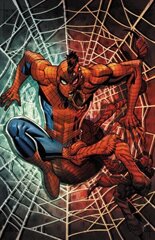 Savage Spider-man hind ja info | Fantaasia, müstika | kaup24.ee