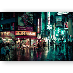 Картина Токийская улица, 40x60 см, Wolf Kult цена и информация | Картины, живопись | kaup24.ee