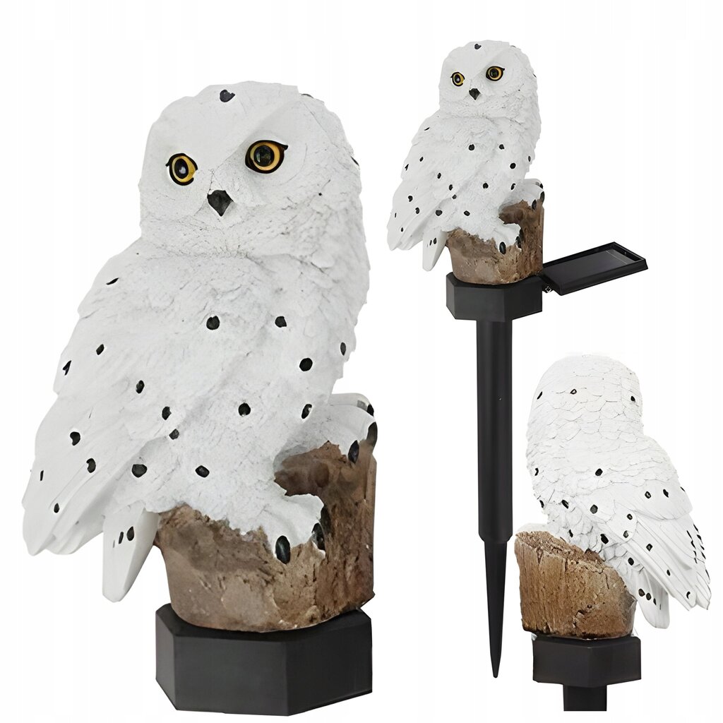 OWL lamp töötab päikeseenergial цена и информация | Aia- ja õuevalgustid | kaup24.ee