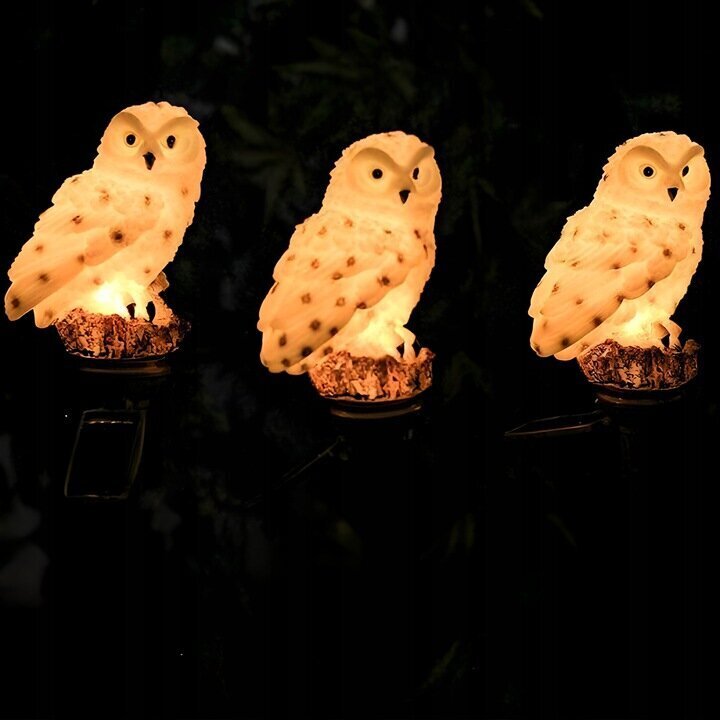 OWL lamp töötab päikeseenergial цена и информация | Aia- ja õuevalgustid | kaup24.ee