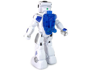 Lean toys Nutikas interaktiivne veerobot R/C kaugjuhtimispuldiga цена и информация | Игрушки для малышей | kaup24.ee