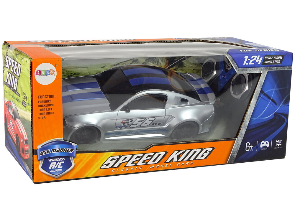 Lean toys sportauto R/C Hõbedane 1:24 hind ja info | Poiste mänguasjad | kaup24.ee