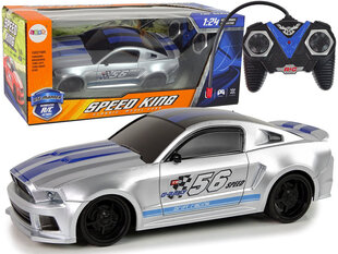 Lean toys sportauto R/C Hõbedane 1:24 цена и информация | Игрушки для мальчиков | kaup24.ee