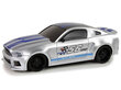 Lean toys sportauto R/C Hõbedane 1:24 hind ja info | Poiste mänguasjad | kaup24.ee