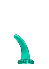 Peenise imitatsioon koos iminapaga Non Realistic Dildo, 4,5''/ 11,5 cm, türkiis hind ja info | Dildod | kaup24.ee