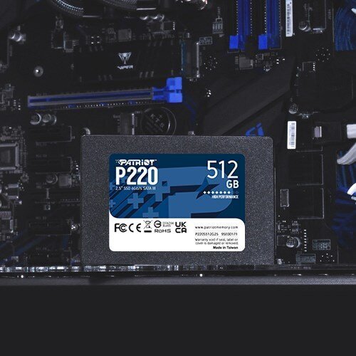 Patriot P220, 512GB (P220S512G25) цена и информация | Sisemised kõvakettad (HDD, SSD, Hybrid) | kaup24.ee