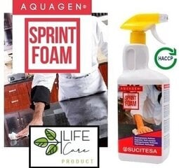 Обезжириватель Aquagen Sprint Foam, 1 л цена и информация | Очистители | kaup24.ee