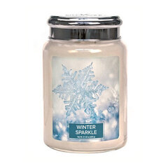 Ароматическая свеча Village Candle Winter Sparkle, 602 г цена и информация | Свечи, подсвечники | kaup24.ee