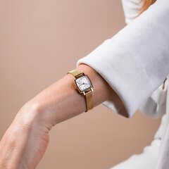 Naiste käekell Tissot T058.109.33.031.00 hind ja info | Naiste käekellad | kaup24.ee