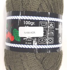 Пряжа для вязания Kiraz, 100г, цвет зеленый 1Ž15 цена и информация | Принадлежности для вязания | kaup24.ee