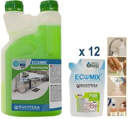 Ecomix Ammonia Cleaner ammoniaagiga, 12 tk цена и информация | Очистители | kaup24.ee